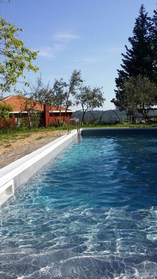 Colpi Di Timone B&B Finale Ligure Exterior foto